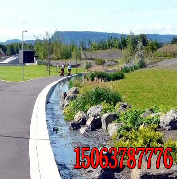 公路邊坡護坡綠化草種價格