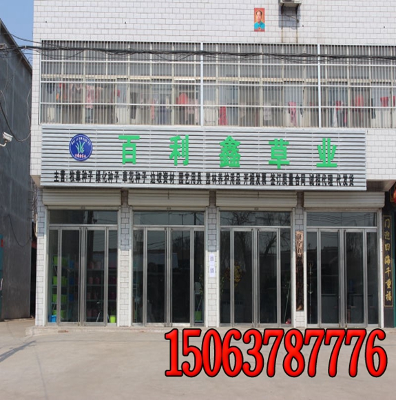 河岸護坡種植什么草籽好？