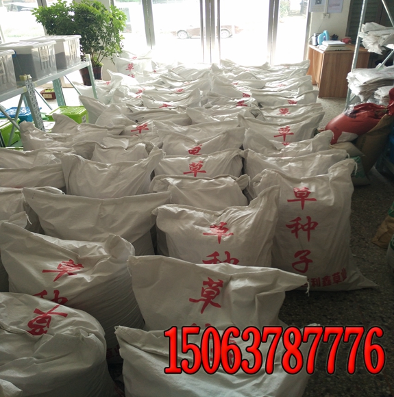 什么草種用來保護堤壩斜坡？