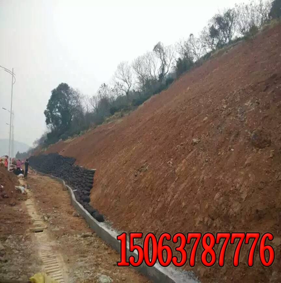 公路保護坡地綠化有什么建議？