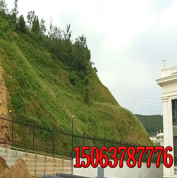 公路保護坡地綠化有什么建議？