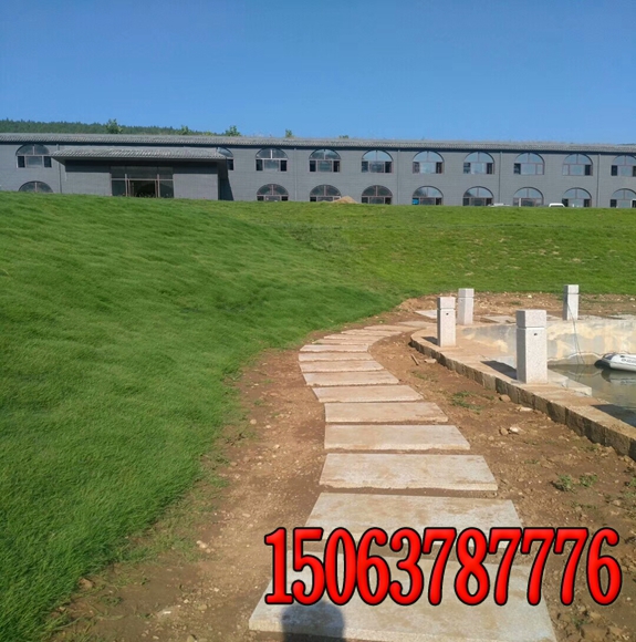 高速公路環境綠化保護的永久性