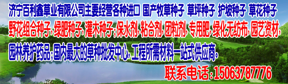 深圳護坡種植什么草籽
