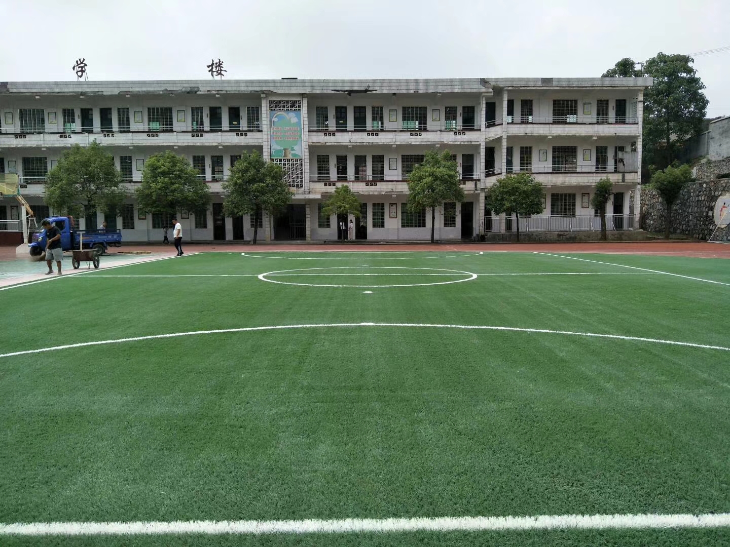 幼兒園種什么草好？