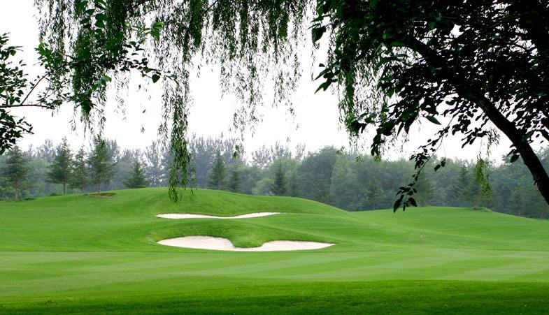 湖南別墅種什么草坪好？