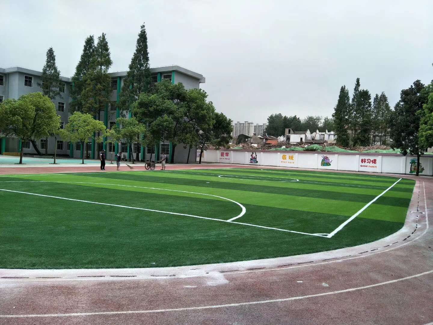 廣場上種什么草坪草比較好？