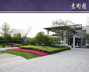 私家花園草地種什么草***