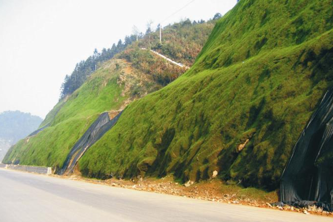 貧瘠地適合種什么草可以防塵防風沙固土