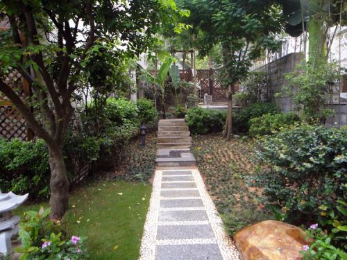 家里花園適合種什么草坪好