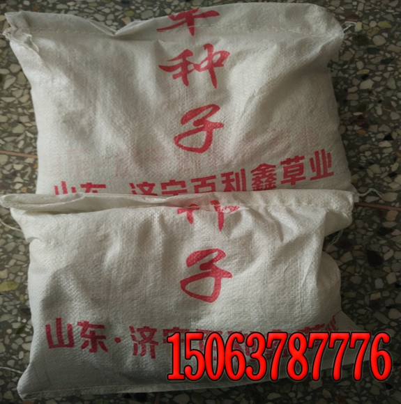 草坪一畝用多少種子