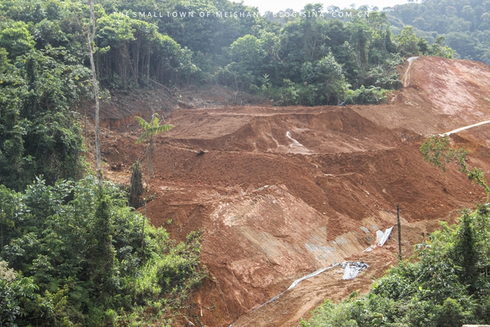 高速公路護坡草種多少錢 報價