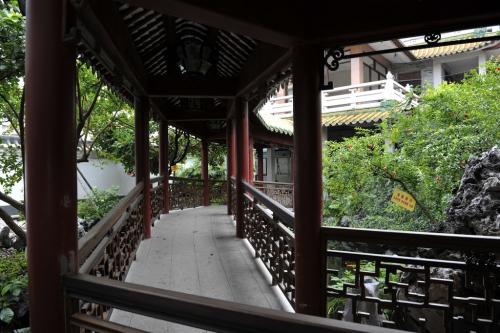 藤本植物在園林綠化中的應用