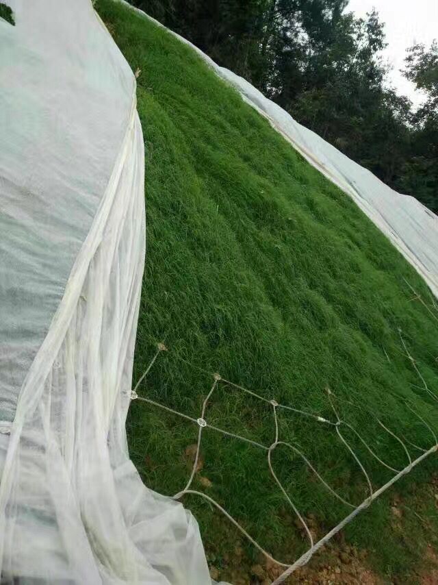 路基防護工程標準化施工