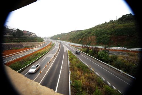 鄉村道路路肩草種
