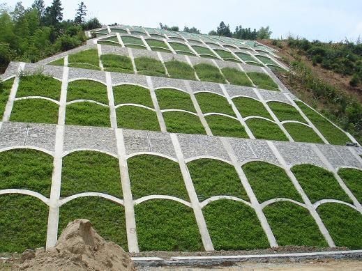 南平高速公路護坡綠化草籽