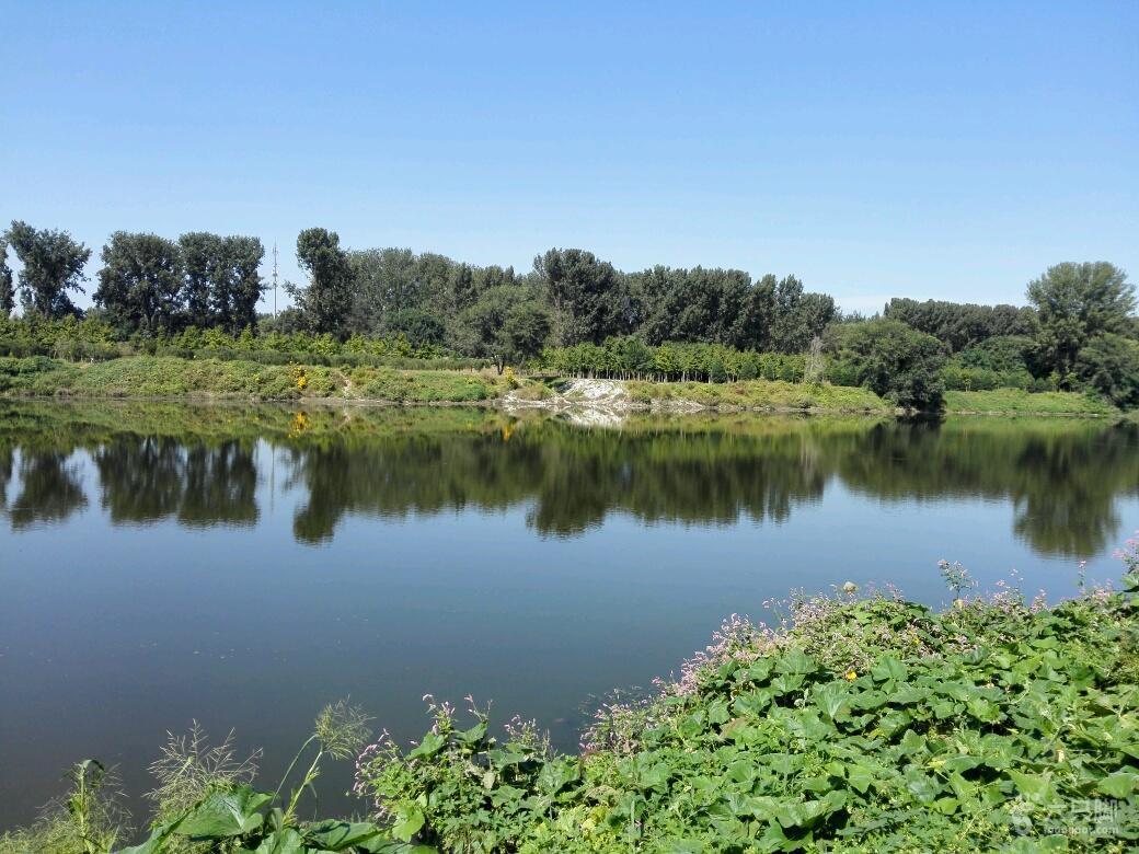 河南護坡草籽什么時間種植好