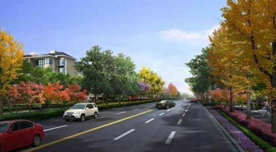 鄉村道路綠化公司