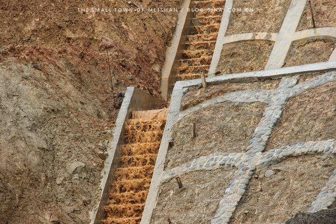 梁山縣公路護坡草種種哪種好