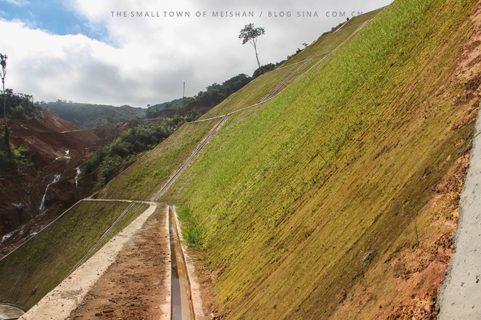 梁山縣公路護坡草種種哪種好