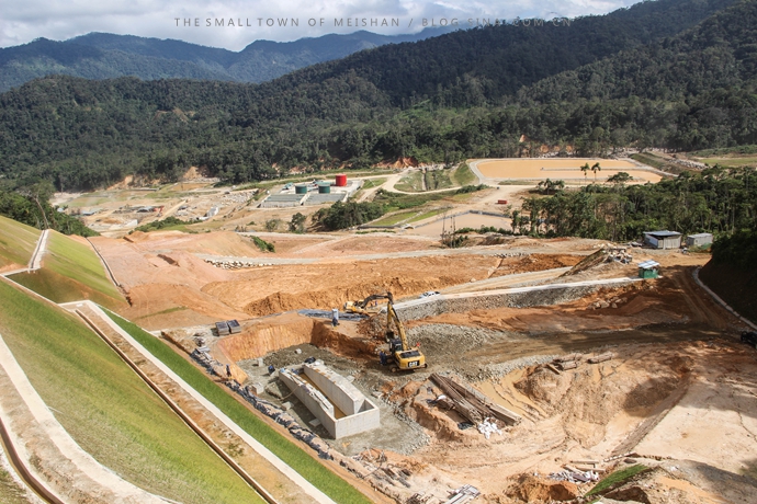 鄄城狗牙根草坪種子護坡草坪