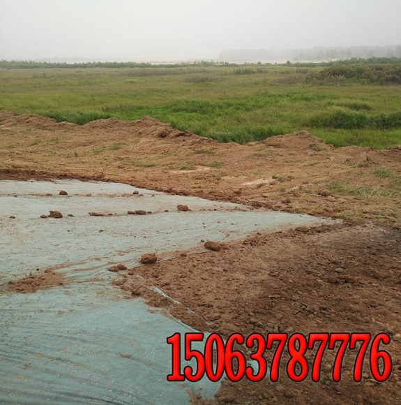 濟源鐵路護坡用什么草種好護坡草種