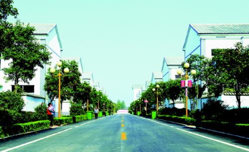 濟寧任城鄉村公路綠化
