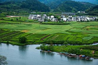 鄉村河道綠化怎么辦