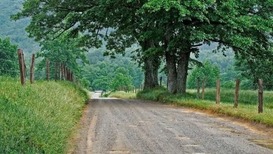 濟寧鄉村道路綠化
