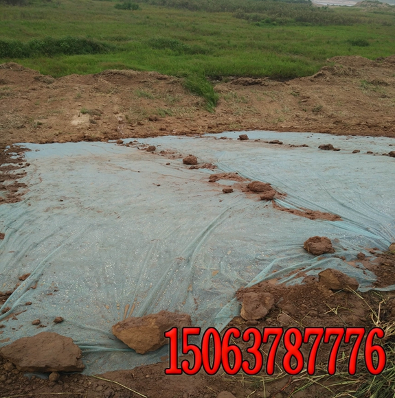 防塵草種多少錢