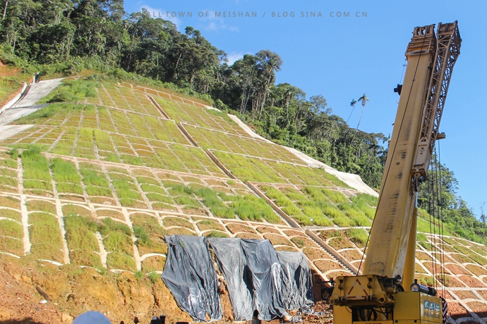 草種多少錢一平方