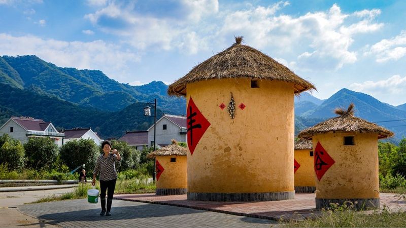 廣場綠化種什么草坪草種