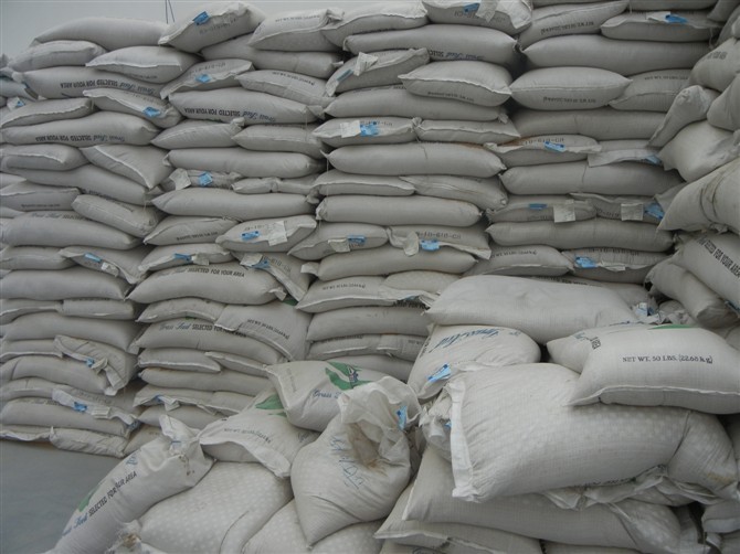 小區種植什么草坪草種好呢