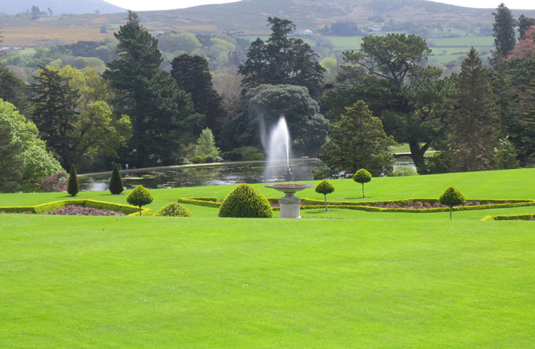 社區綠化種子哪里有賣的