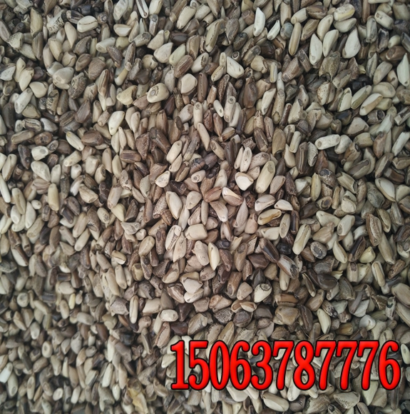 周口狗牙根草種多少錢一斤