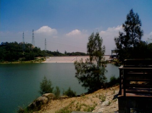 美麗鄉村河道護坡種植什么草籽好