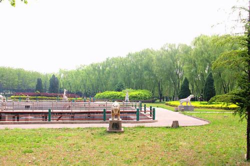 美麗鄉村建設街道綠化種植什么花卉種子比較好