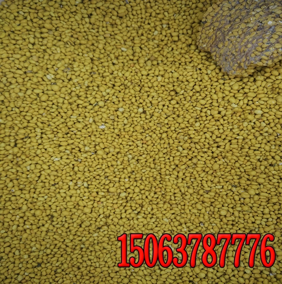 南陽噴播草籽多少錢一平方