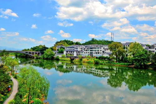 昆山園林綠化草種哪有賣的