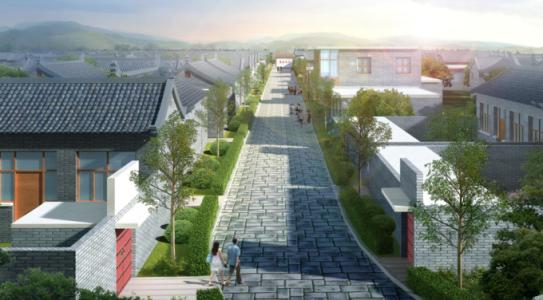 昆山園林綠化草種哪有賣的