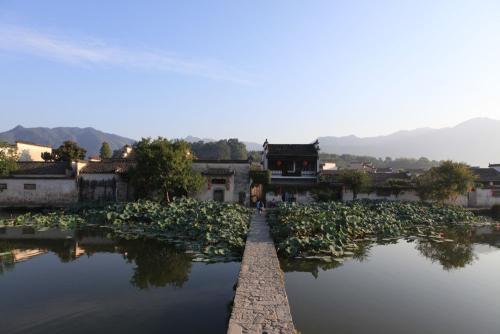 昆山園林綠化草種哪有賣的