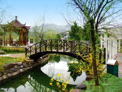 園林綠化草種廠家 山東