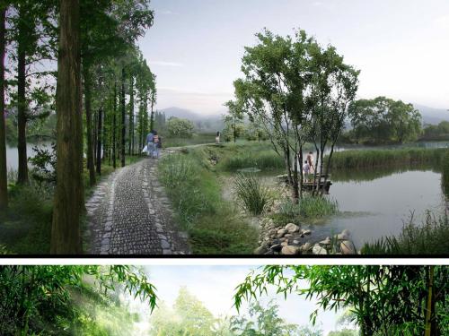 園林綠化草種廠家 價格