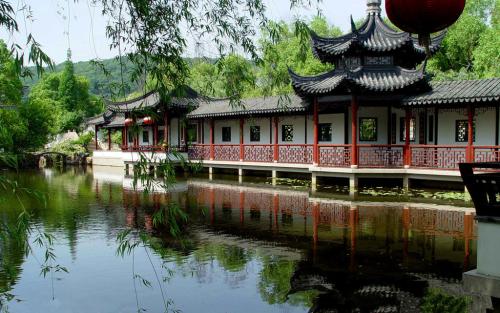 銷售園林綠化草種