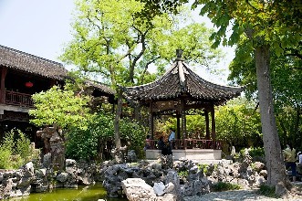 園林綠化草種廠家價格