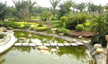 銷售園林綠化草種批發