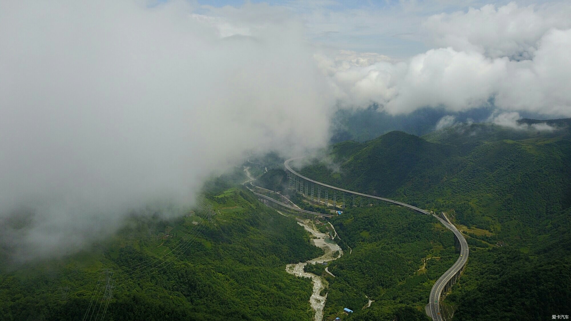 河堤護坡用什么草花