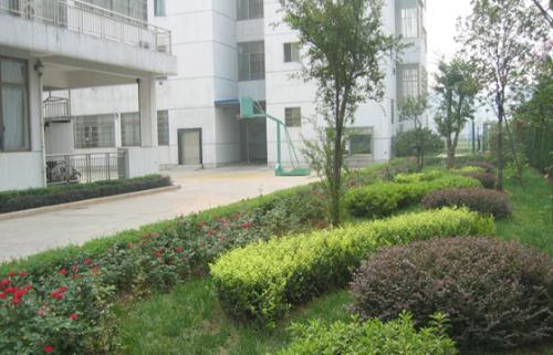 賣綠化草種價格
