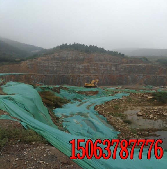 公路邊坡綠化草種產品