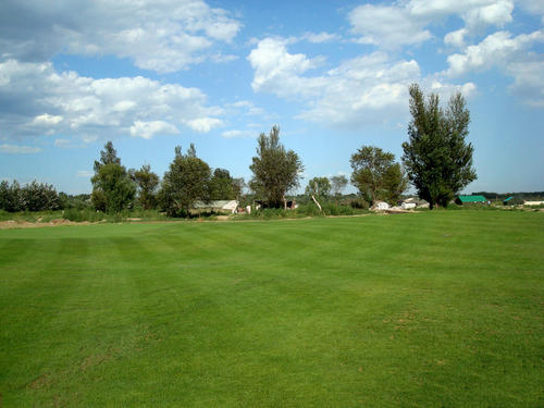 混播草坪種植供應