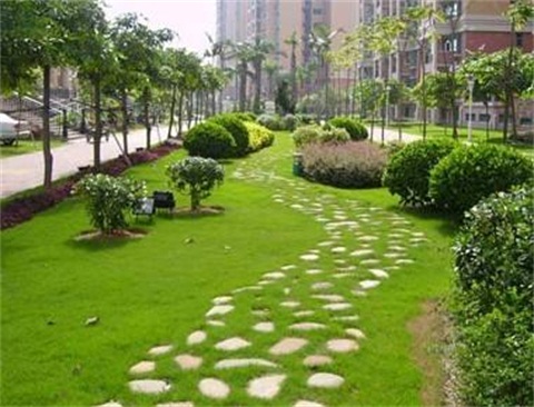 黑麥草混播草坪的***害